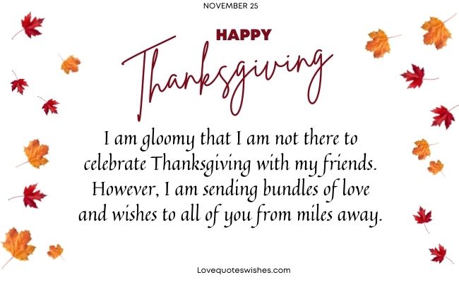 I am gloomy that I am not there to celebrate Thanksgiving with my friends. However, I am sending bundles of love and wishes to all of you from miles away.