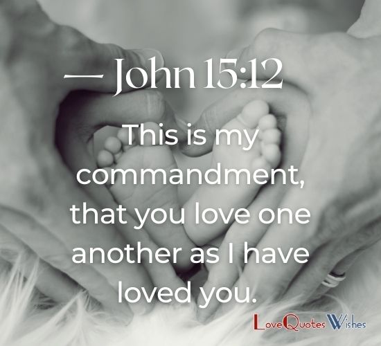 This is my commandment, that you love one another as I have loved you. — John 15:12